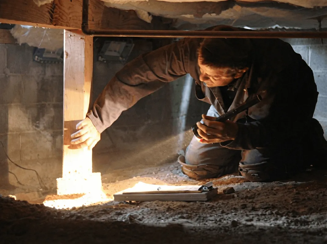 A professional inspecting wooden beams under the floor of a structure in Portland, OR